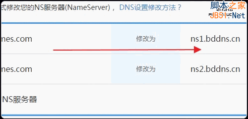 .science给出NS记录